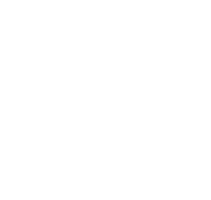 LOGO_wave-rider